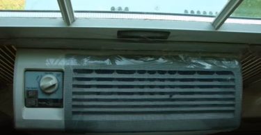 bugs in central air conditioner